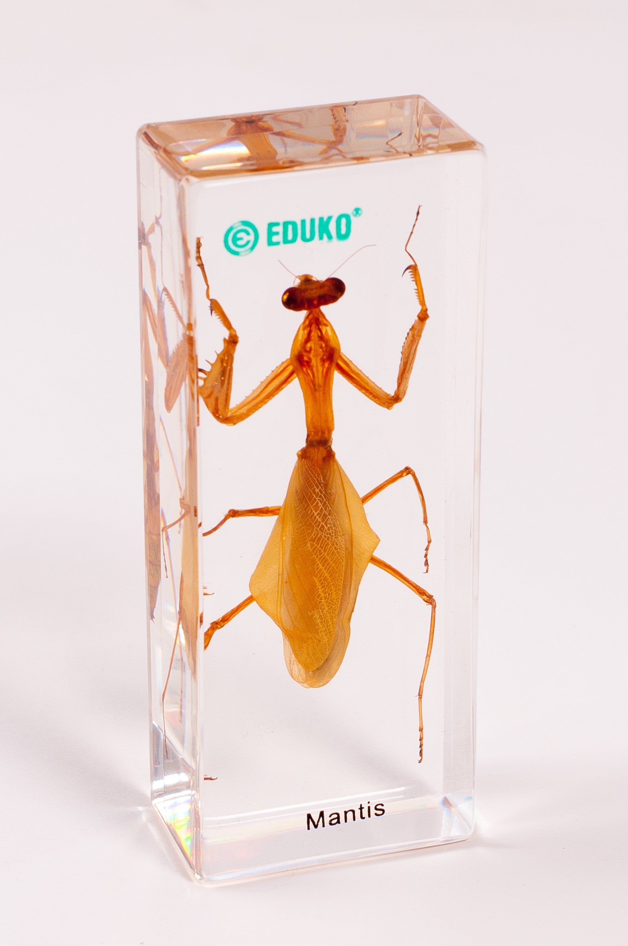 bc5e170bc151dc7f1232cbc7dae333e4