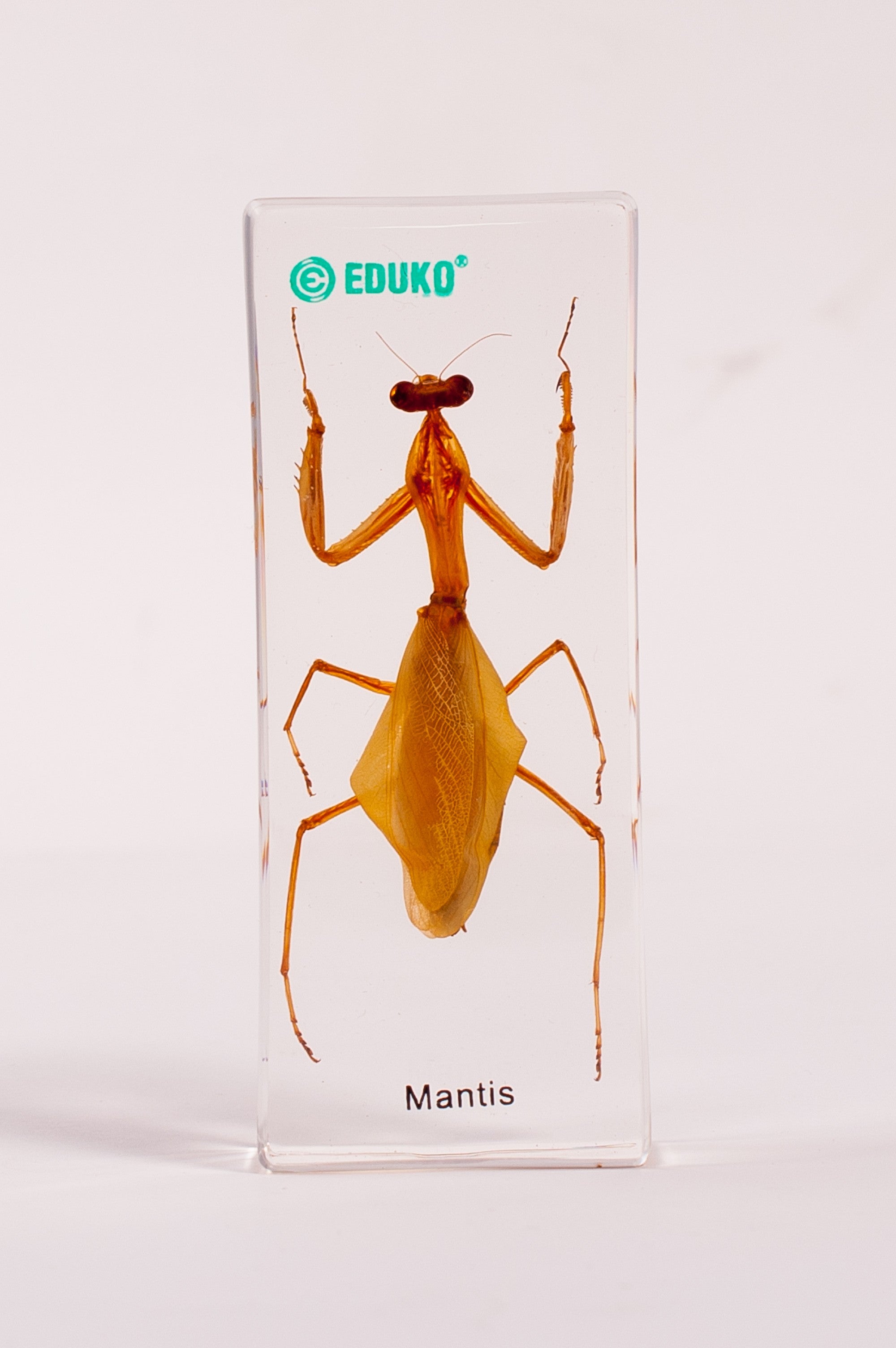 6281f8ddb67bd4680d3ee28255b97da3