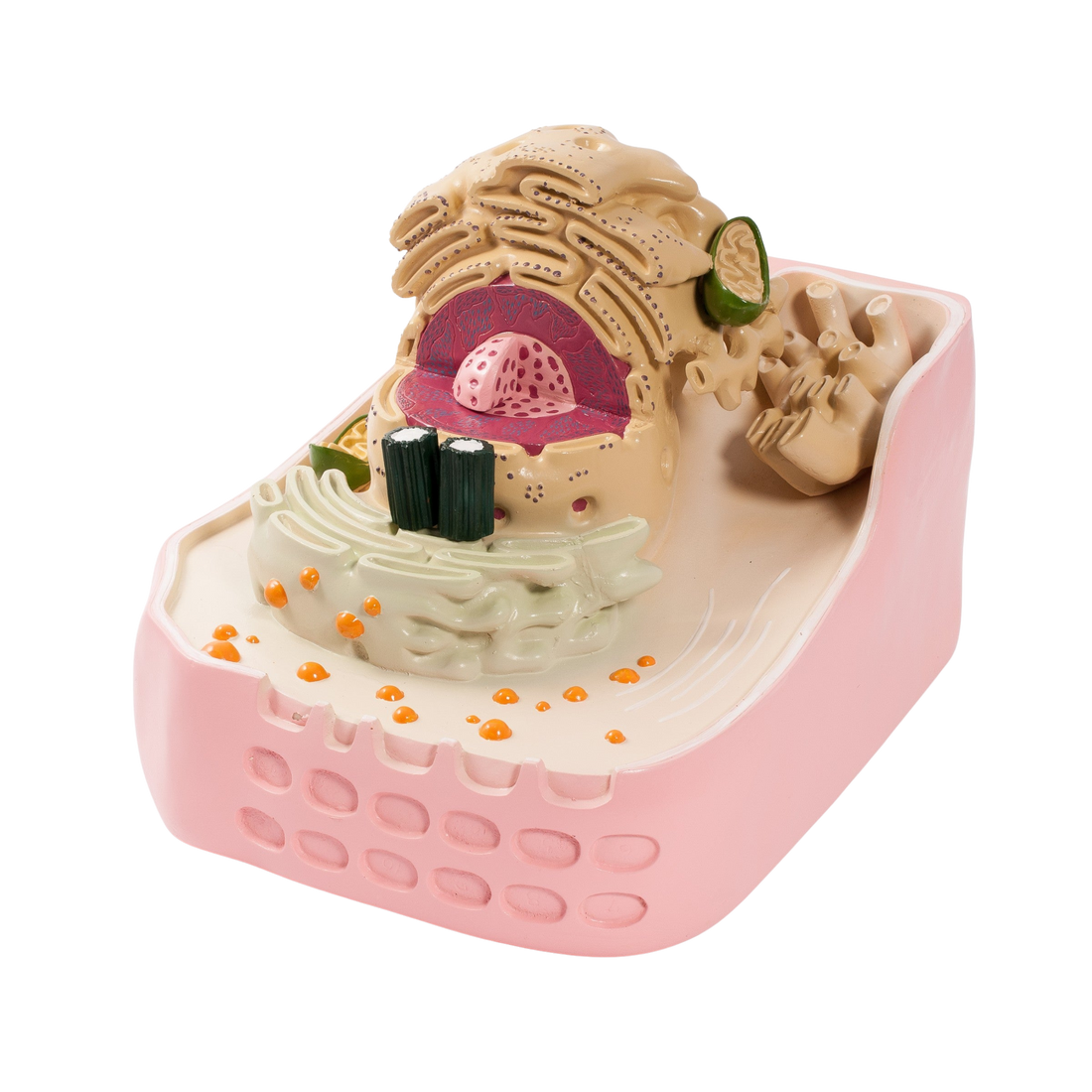 Model komórki roślinnej 3D EDUKO