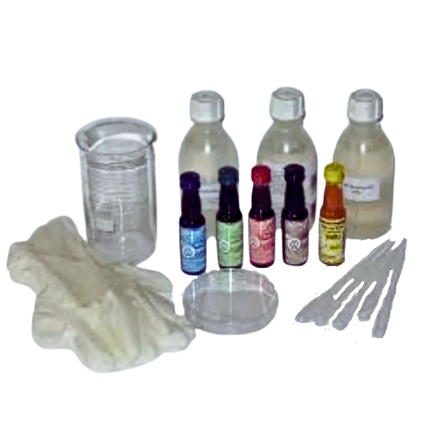 Zestaw do chromatografii bibułowej EDUKO