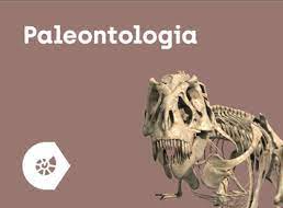 Zdjęcie produktu Corinth 3D Offline - Paleontologia i Kultura