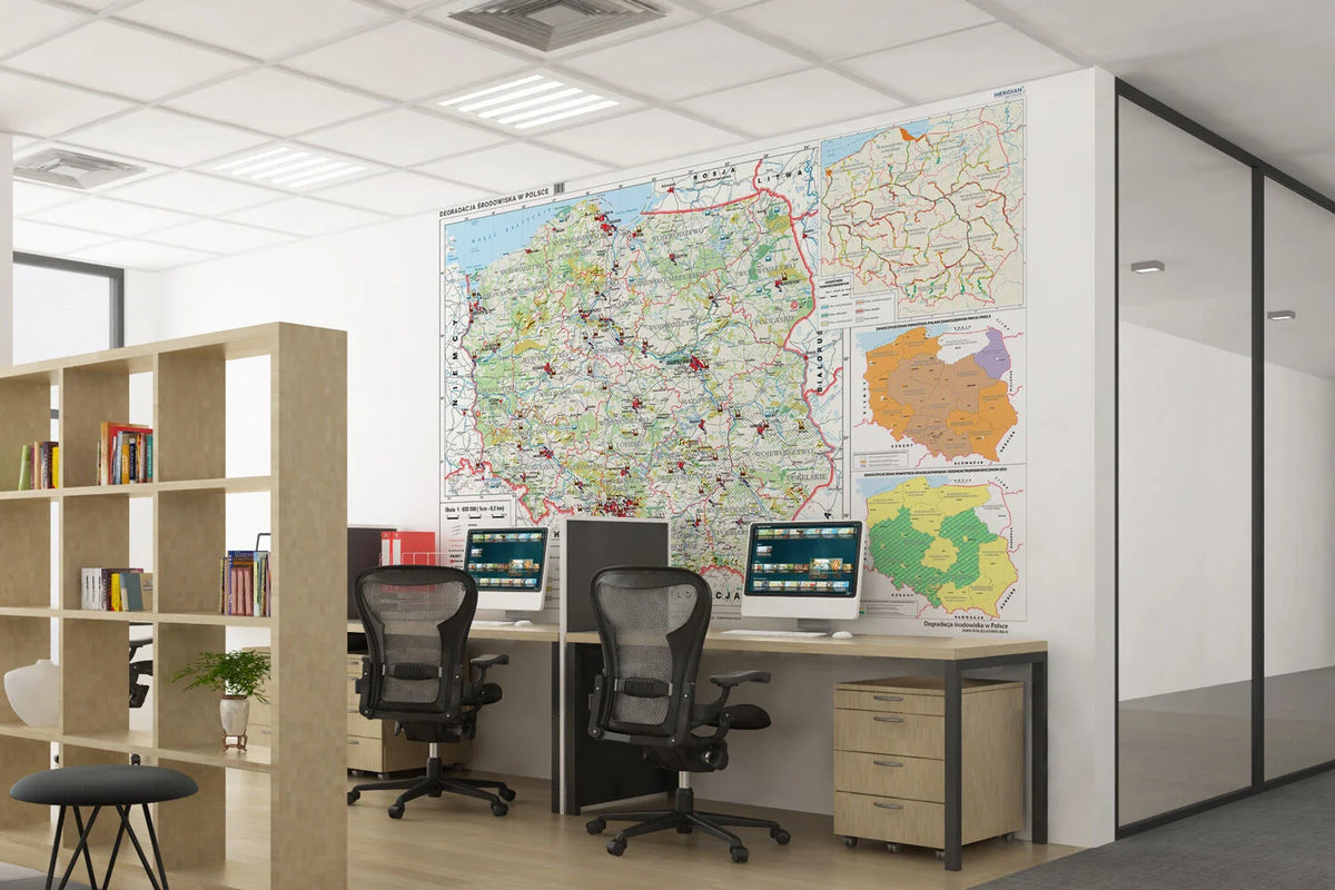 Degradacja środowiska w Polsce - mapa ścienna - wersja fototapeta
