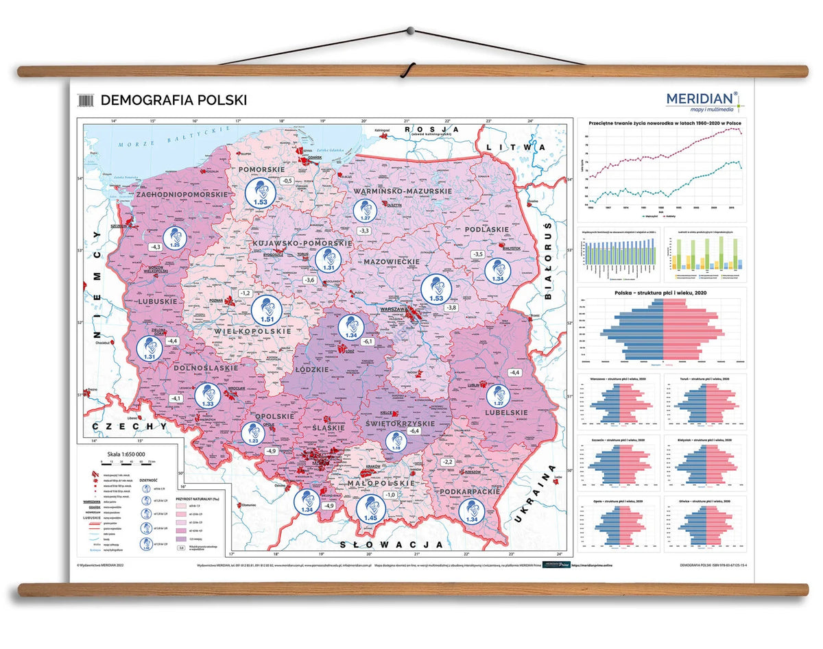 Demografia Polski - mapa ścienna