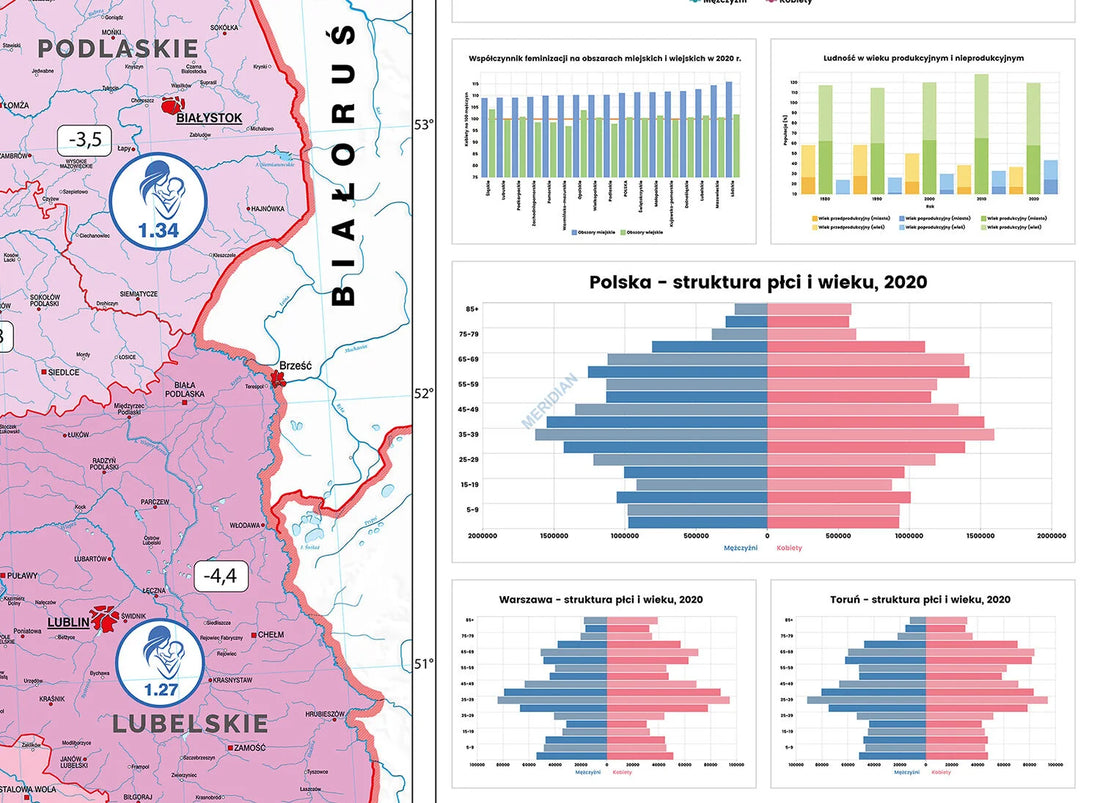 Demografia Polski - mapa ścienna