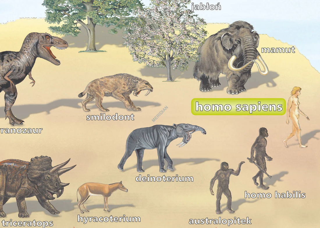 Ewolucja świata ożywionego - plansza dydaktyczna