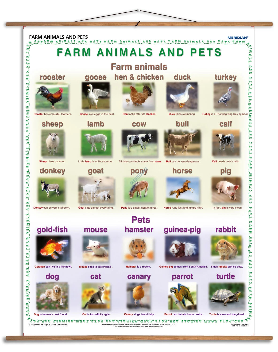 Farm animals and pets - plansza dydaktyczna w języku angielskim