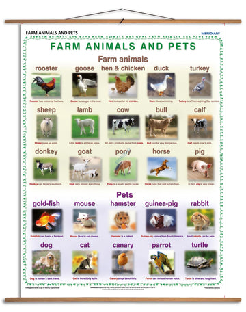 Farm animals and pets - plansza dydaktyczna w języku angielskim