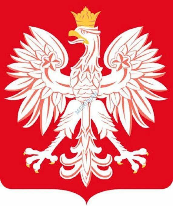 Godło Polski bez oprawy - plansza dydaktyczna