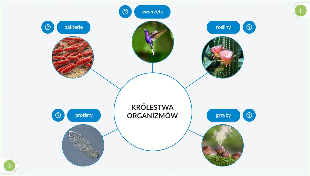 Interaktywne Plansze Przyrodnicze Biologia (kl. 5-8), plansza 2