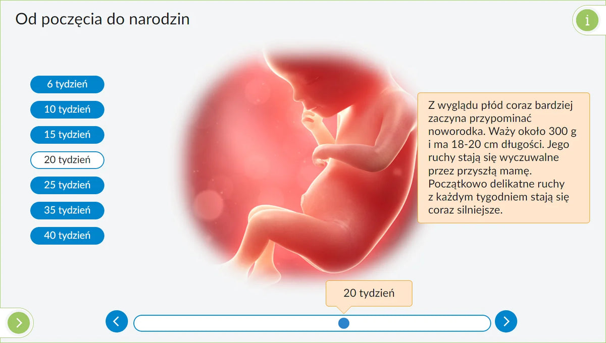 Interaktywne Plansze Przyrodnicze Biologia (kl. 5-8), plansza 3