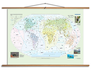 Krainy zoogeograficzne świata - mapa ścienna