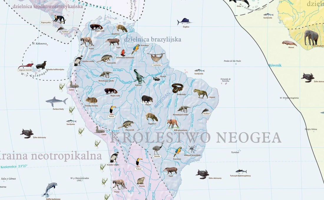 Krainy zoogeograficzne świata - mapa ścienna
