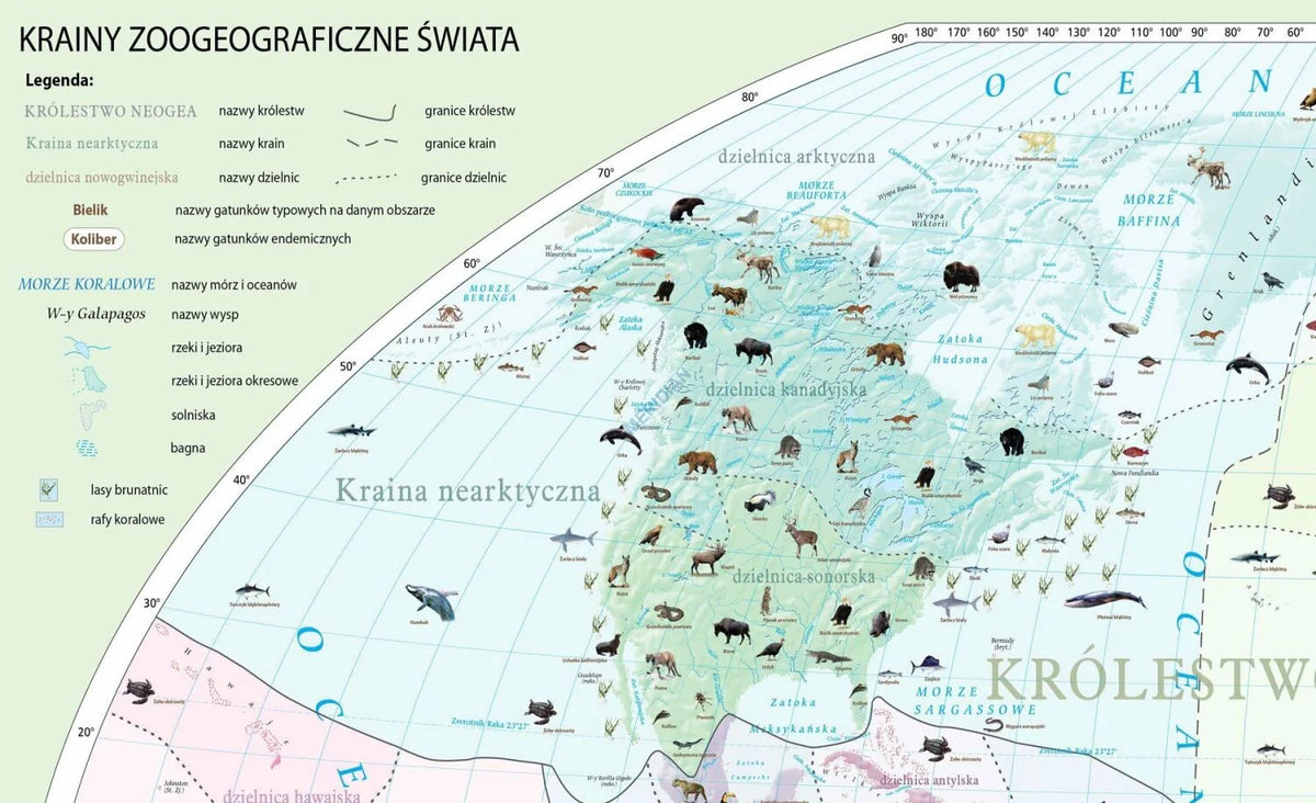 Krainy zoogeograficzne świata - mapa ścienna - zdjęcie 3