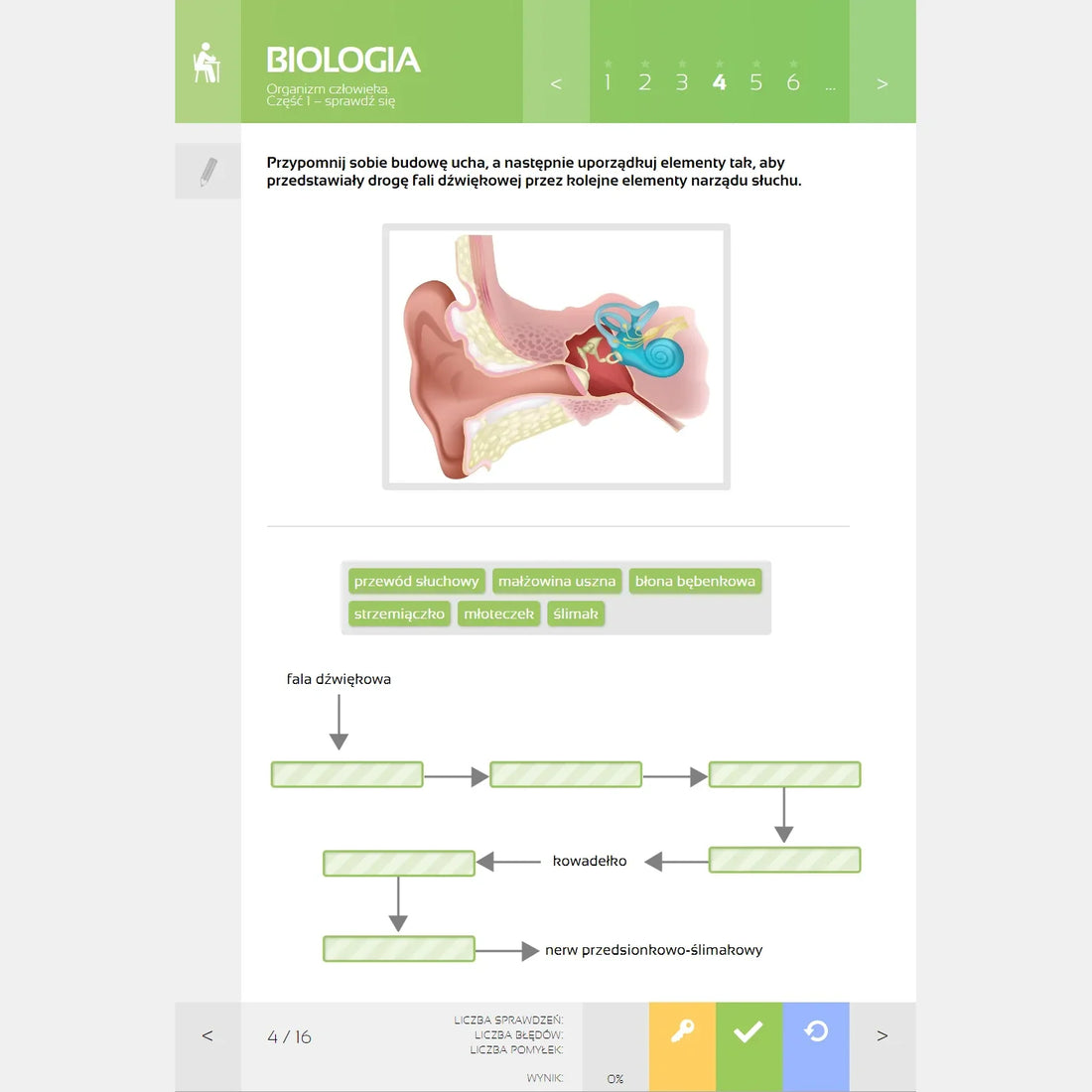 Multimedialne Pracownie Przedmiotowe Biologia (kl. 5-8), licencja uczniowska dla 10 uczniów