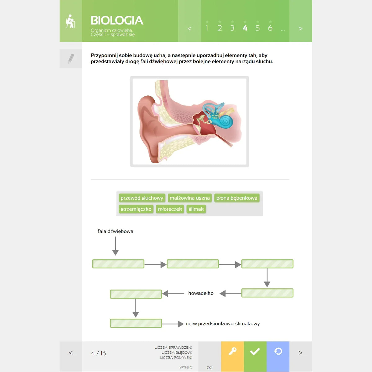 MPP Biologia, lekcja „Sprawdź się” 1