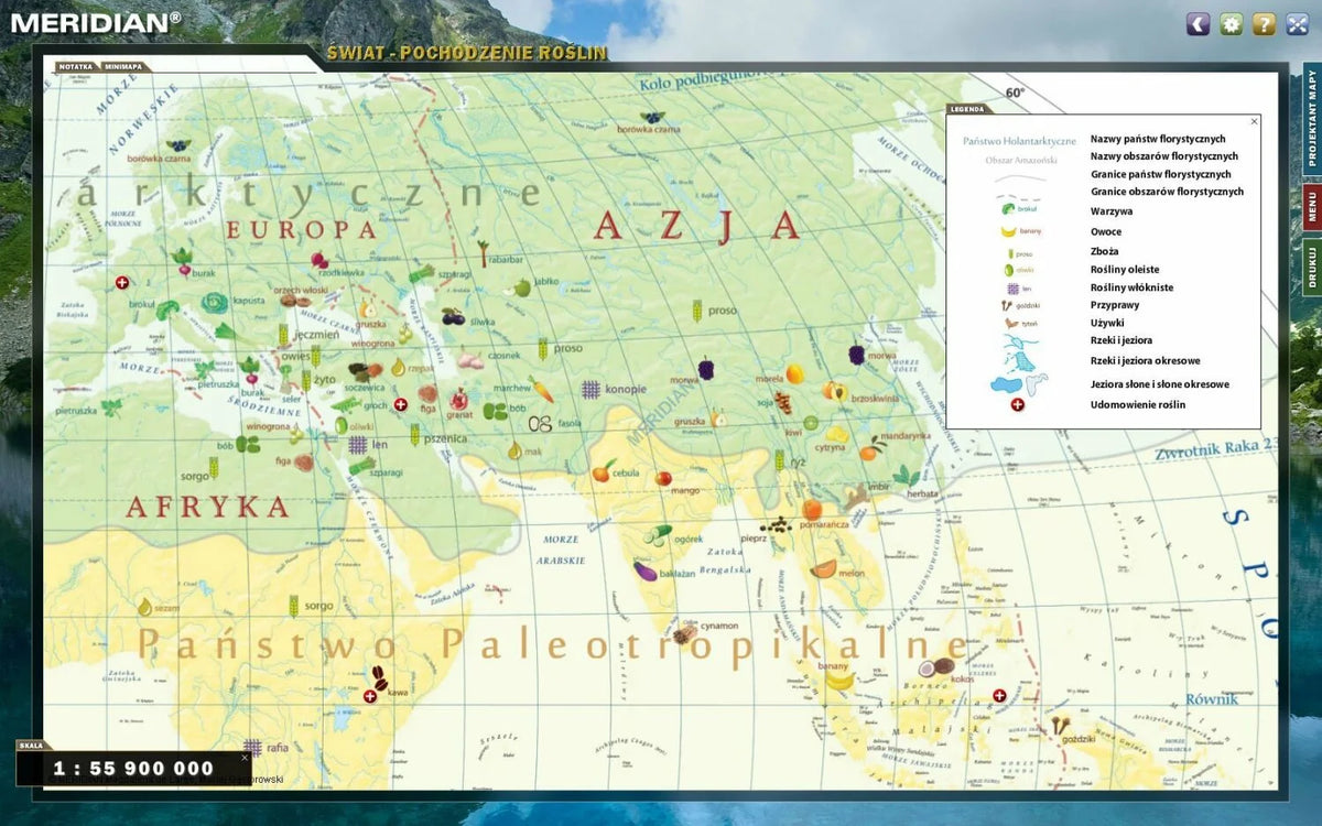 Multimedialny Atlas dla Szkół Podstawowych. Świat i kontynenty - zdjęcie 11