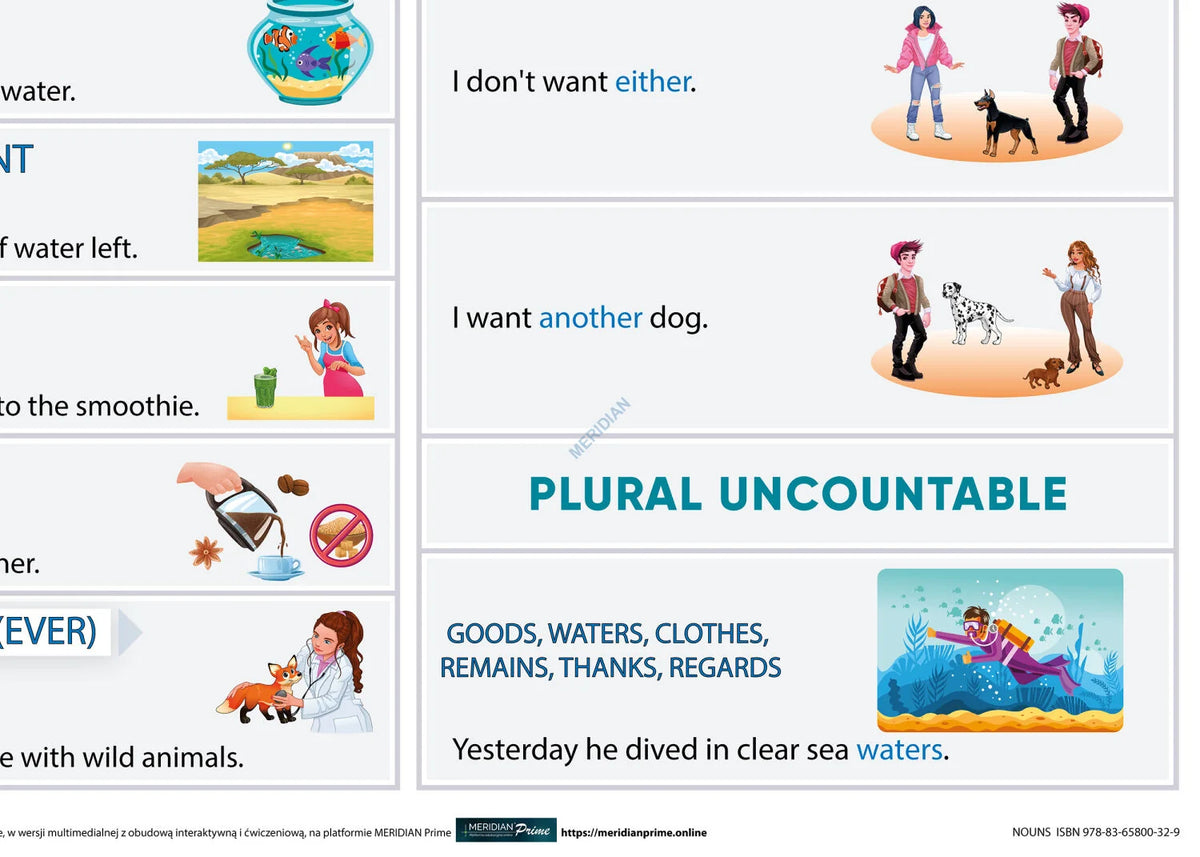 Nouns - plansza dydaktyczna w języku angielskim - zdjęcie 2