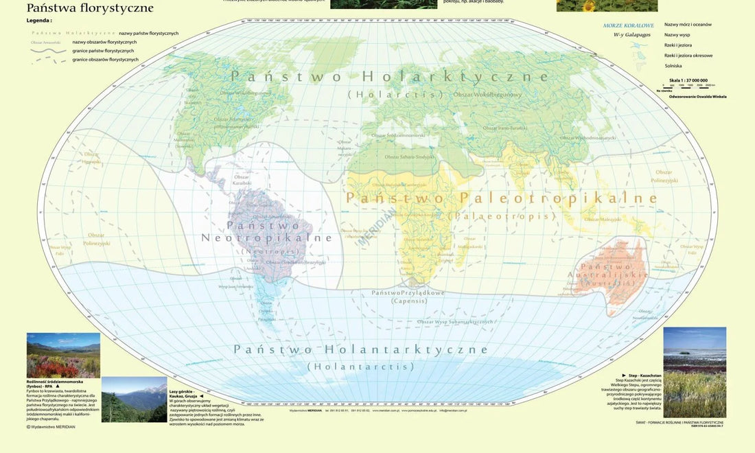 Państwa florystyczne i formacje roślinne świata - mapa ścienna