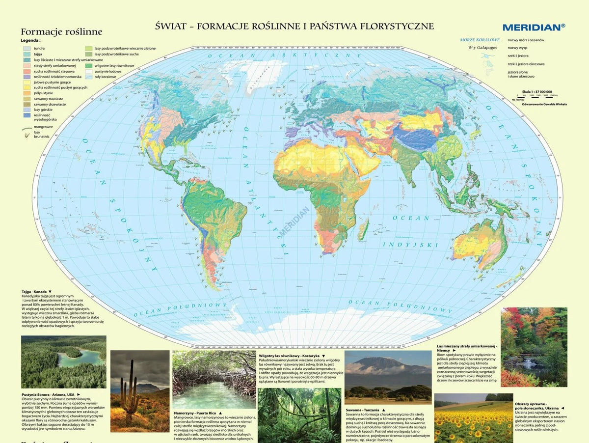 Państwa florystyczne i formacje roślinne świata - mapa ścienna - zdjęcie 3