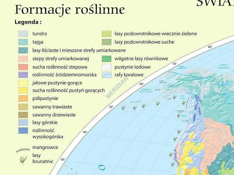 Państwa florystyczne i formacje roślinne świata - mapa ścienna - zdjęcie 4