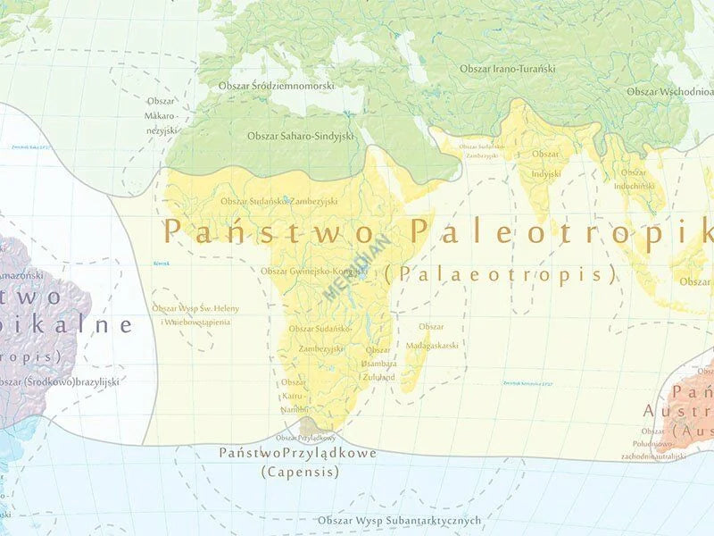 Państwa florystyczne i formacje roślinne świata - mapa ścienna - zdjęcie 7