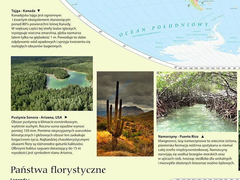 Państwa florystyczne i formacje roślinne świata - mapa ścienna - zdjęcie 8