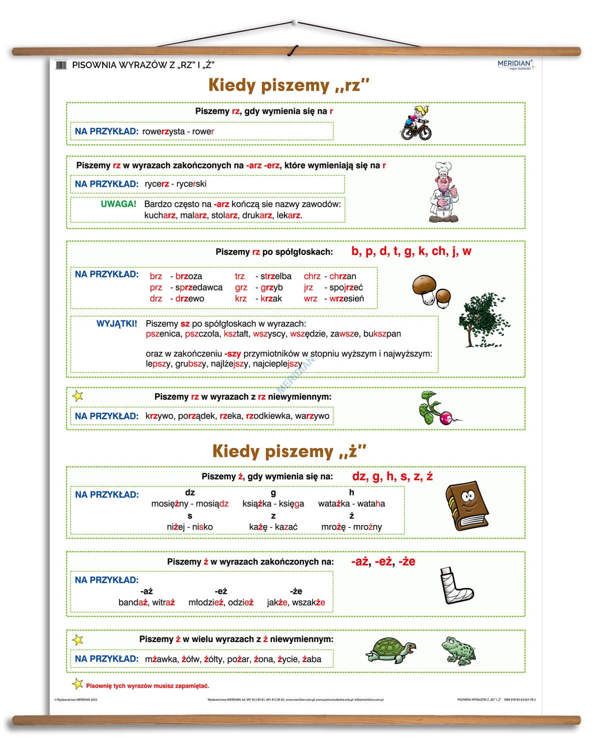 Pisownia wyrazów z "rz" i "ż" - plansza dydaktyczna