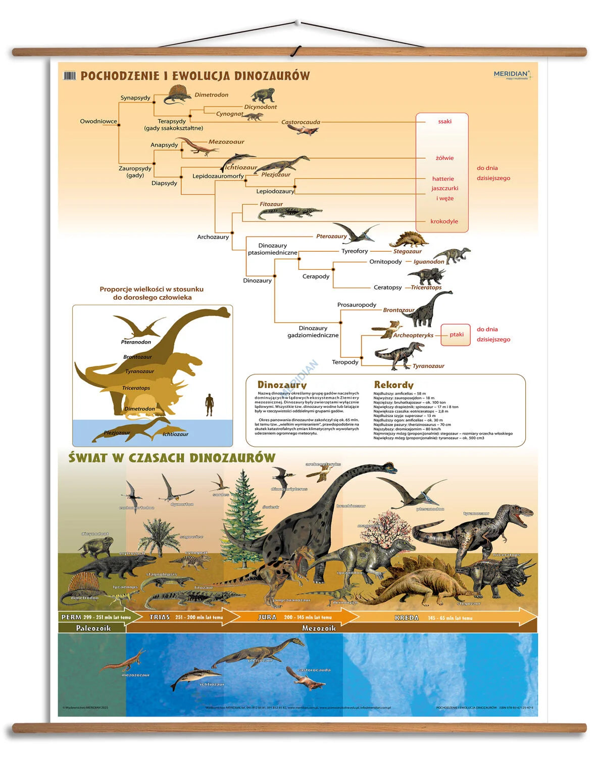 Pochodzenie i ewolucja dinozaurów - plansza dydaktyczna