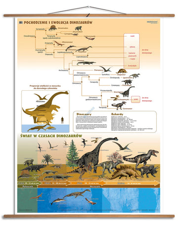 Pochodzenie i ewolucja dinozaurów - plansza dydaktyczna