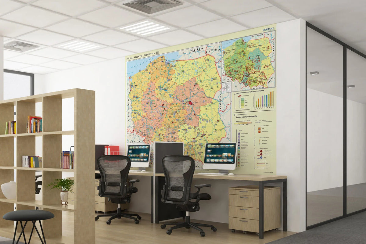 Polska - przemysł i energetyka - mapa ścienna - wersja fototapeta