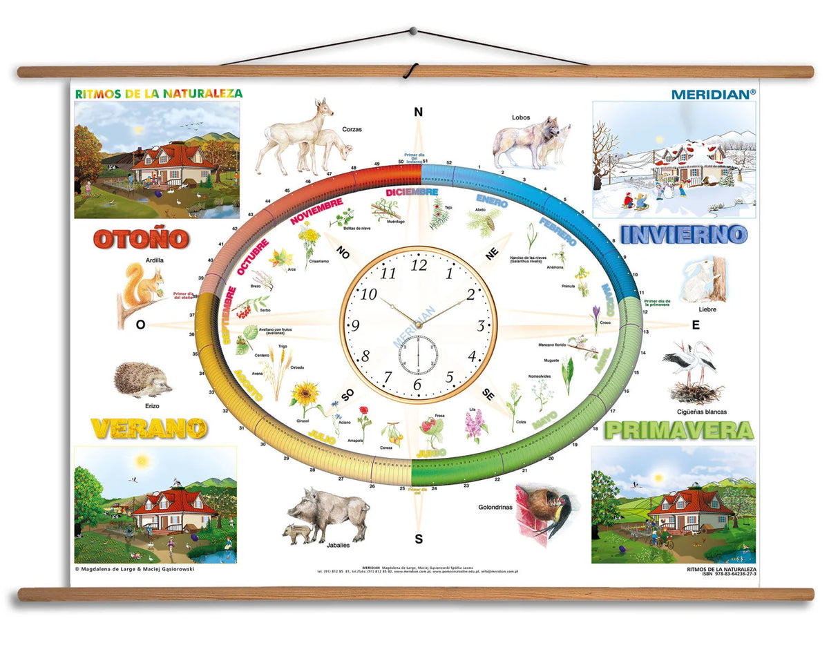 Ritmos de la Naturaleza - plansza dydaktyczna w języku hiszpańskim