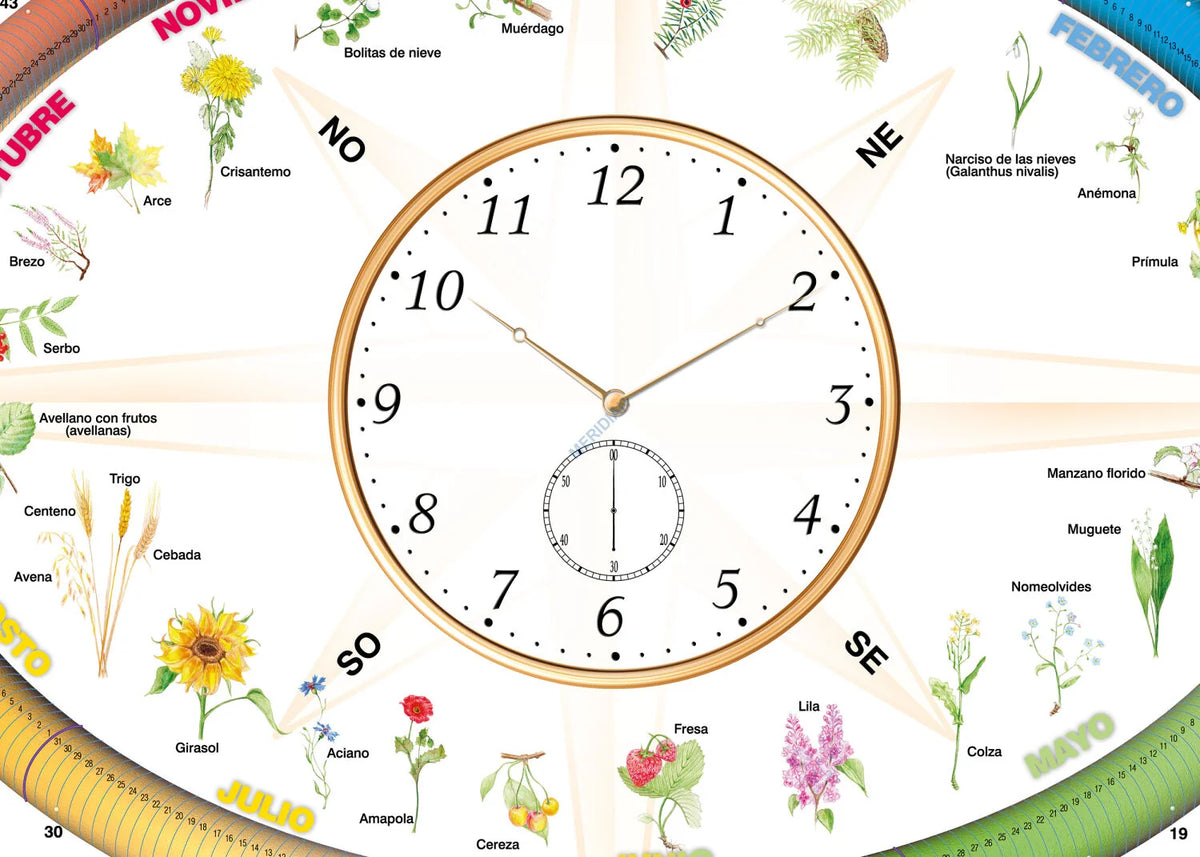 Ritmos de la Naturaleza - plansza dydaktyczna w języku hiszpańskim - zdjęcie 2