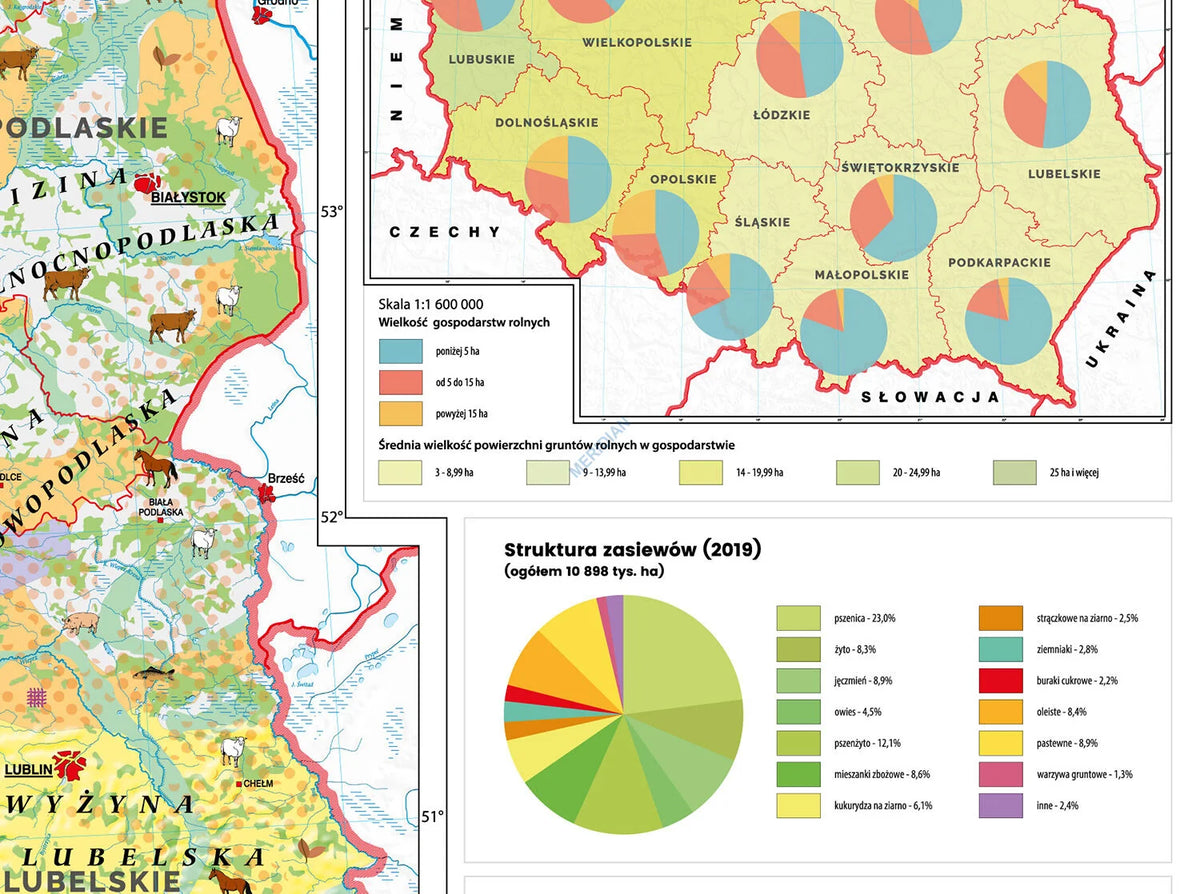 Rolnictwo w Polsce - uprawy i struktura użytkowania ziemi - mapa ścienna - zdjęcie 3