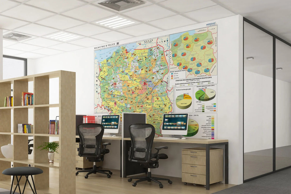 Rolnictwo w Polsce - uprawy i struktura użytkowania ziemi - mapa ścienna - zdjęcie 4