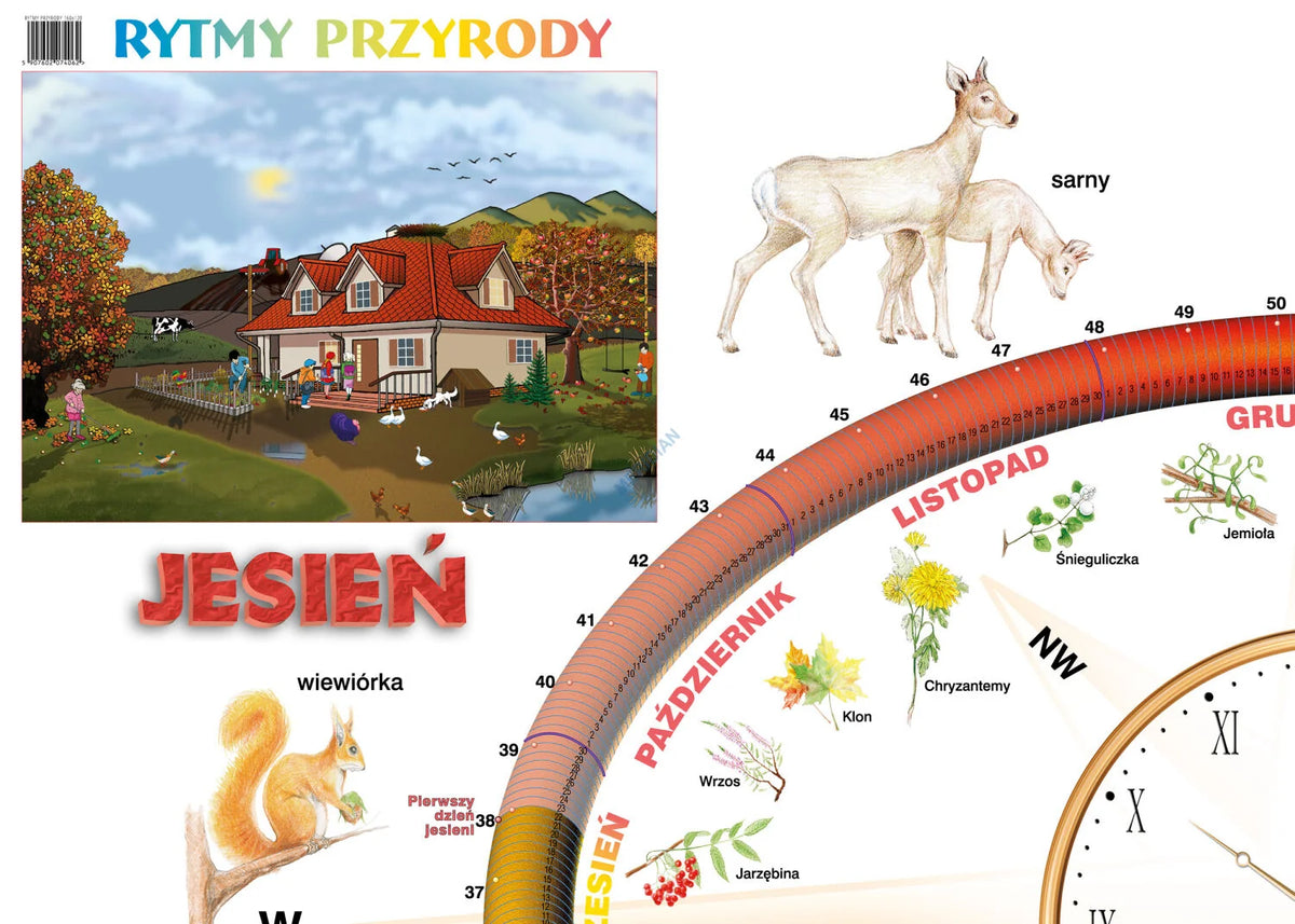 Rytmy przyrody - plansza dydaktyczna - zdjęcie 3