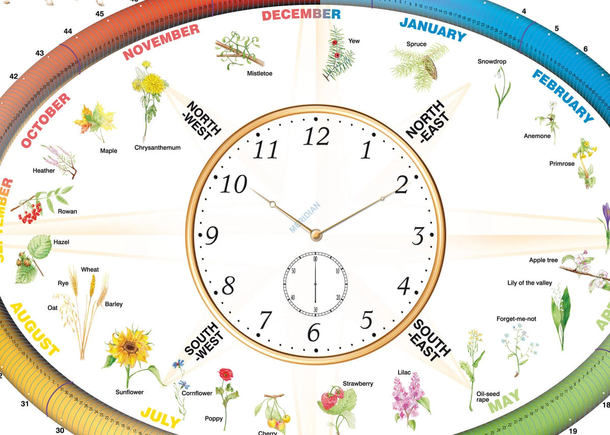 Seasons of the year - plansza dydaktyczna w języku angielskim - zdjęcie 2