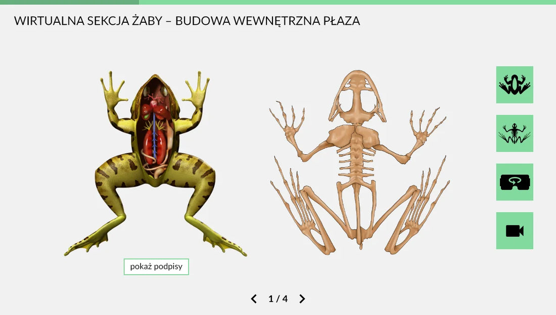 Wirtualne Laboratoria Przyrodnicze Biologia, szkoła ponadpodstawowa