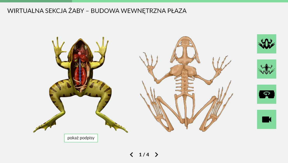 Wirtualne Laboratoria Przyrodnicze Biologia, szkoła ponadpodstawowa, ekran doświadczenia 1