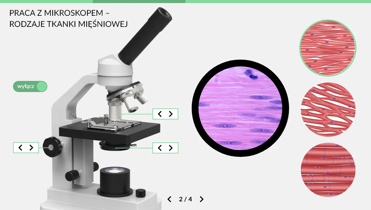 Wirtualne Laboratoria Przyrodnicze Biologia, szkoła ponadpodstawowa, ekran doświadczenia 2