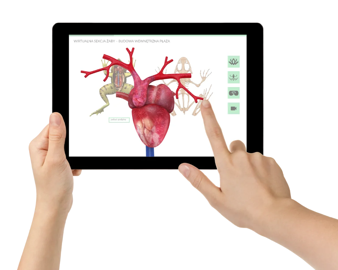 Wirtualne Laboratoria Przyrodnicze Biologia, szkoła ponadpodstawowa na tablecie