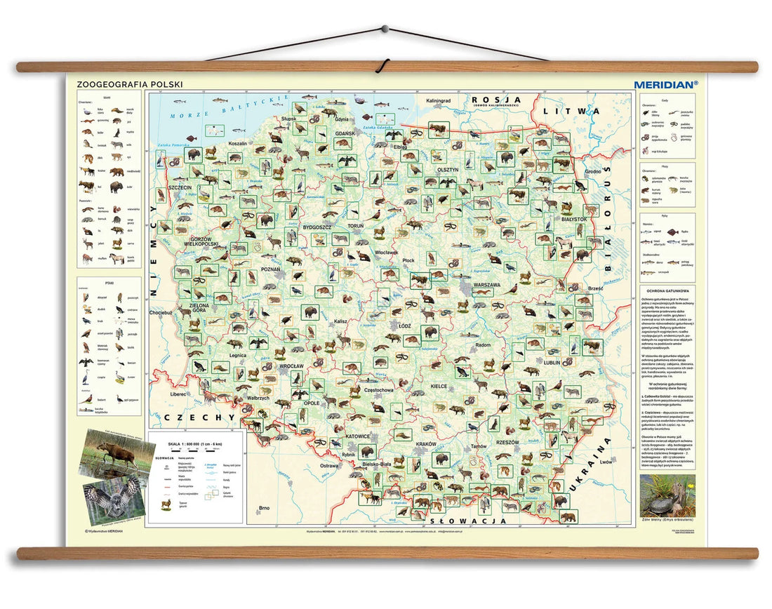 Zoogeografia Polski - mapa ścienna