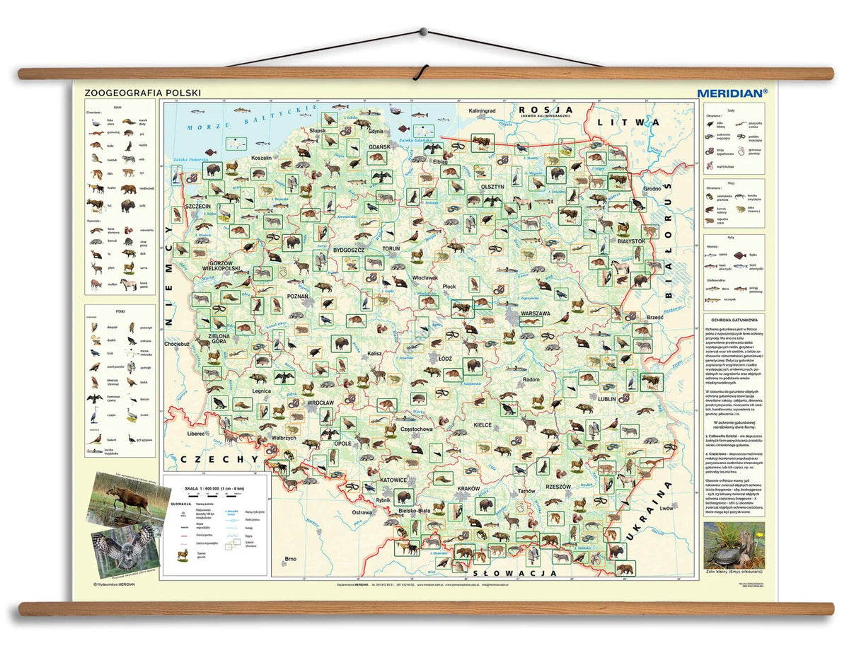 Zoogeografia Polski - mapa ścienna