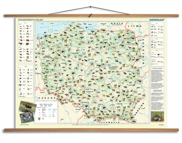 Zoogeografia Polski - mapa ścienna