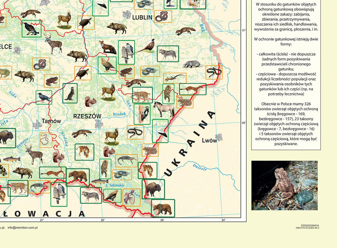 Zoogeografia Polski - mapa ścienna